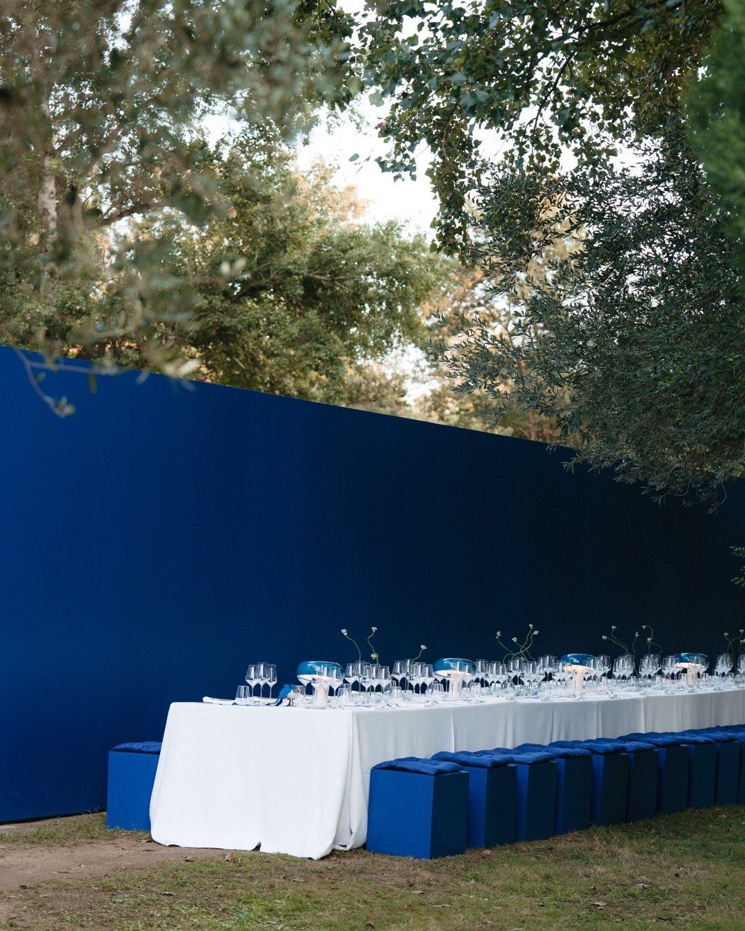 Long white dining table with cobalt blue seating against a matching blue wall.