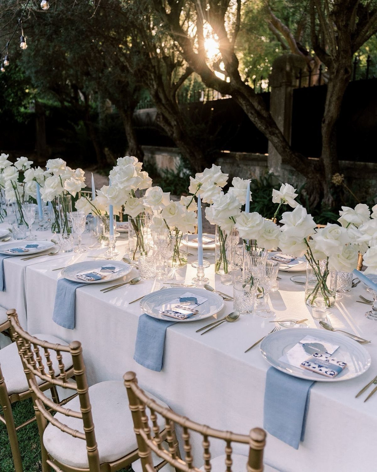 Long wedding table with white linens, light blue napkins, and white flower centerpieces.