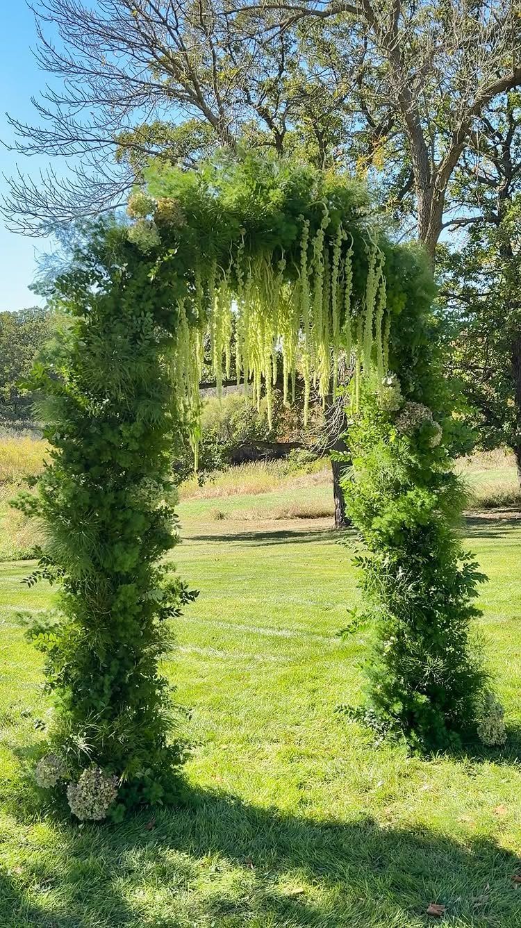 Greenery wedding arch with hanging vines standing in a sunny grassy field