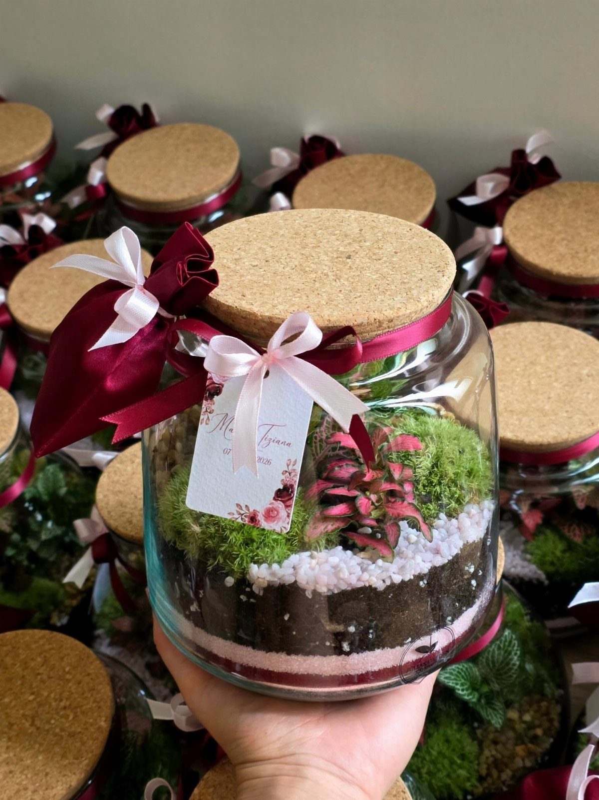 Mini terrarium in a glass jar with cork lid, ribbons, and floral tag.