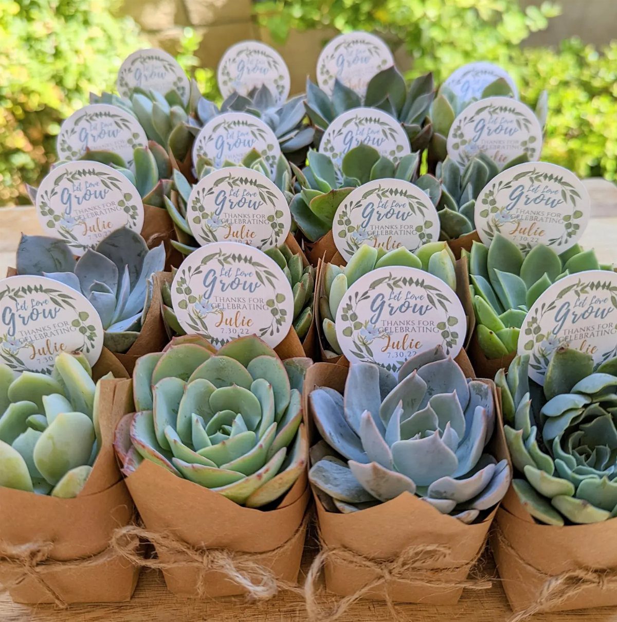 Small succulents wrapped in brown paper with personalized tags on a wooden table