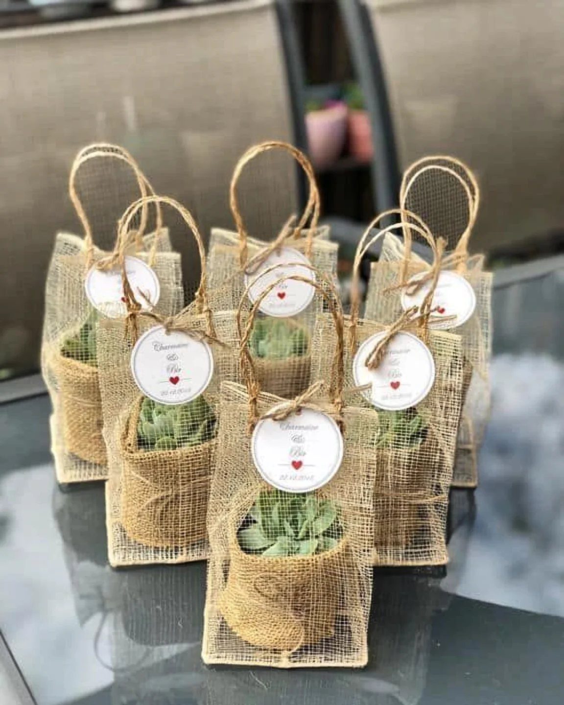 Small succulent plants in burlap pots inside mesh gift bags with white tags.