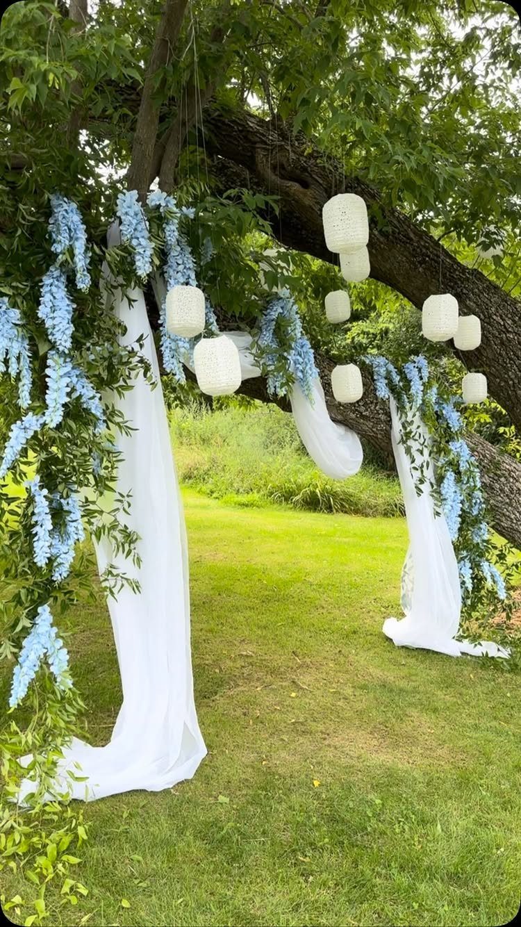 Wedding arbor with white fabric and blue flowers under a tree with lanterns.