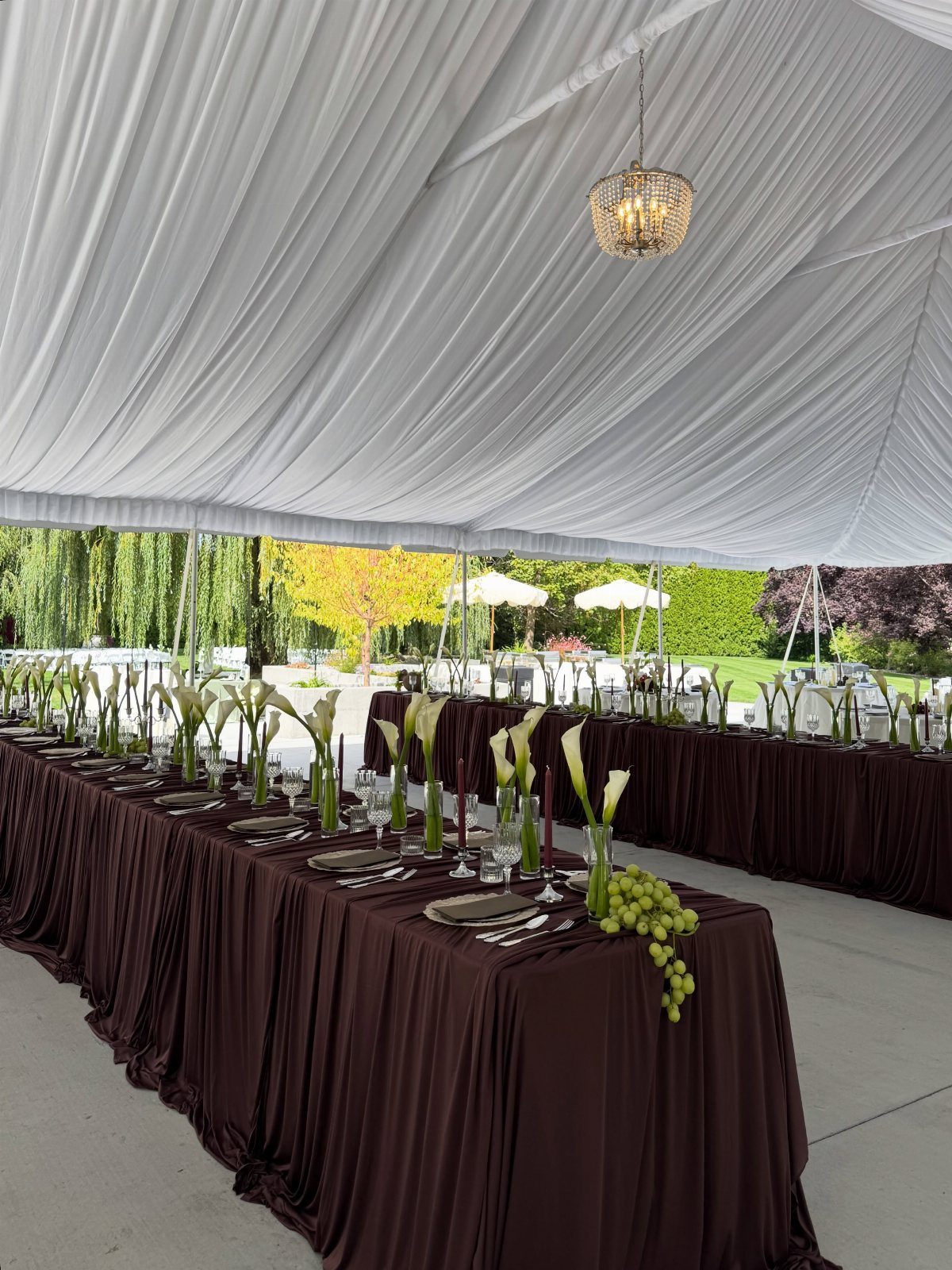 Brown pleated tablecloths with green calla lily centerpieces under a white event tent