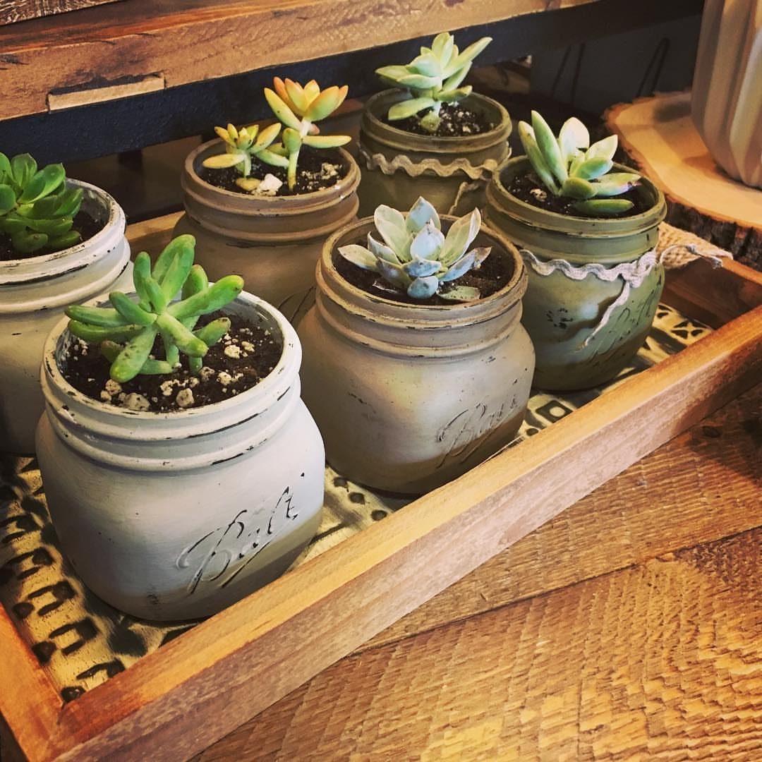 Painted mason jars with succulents arranged on a rustic wooden tray