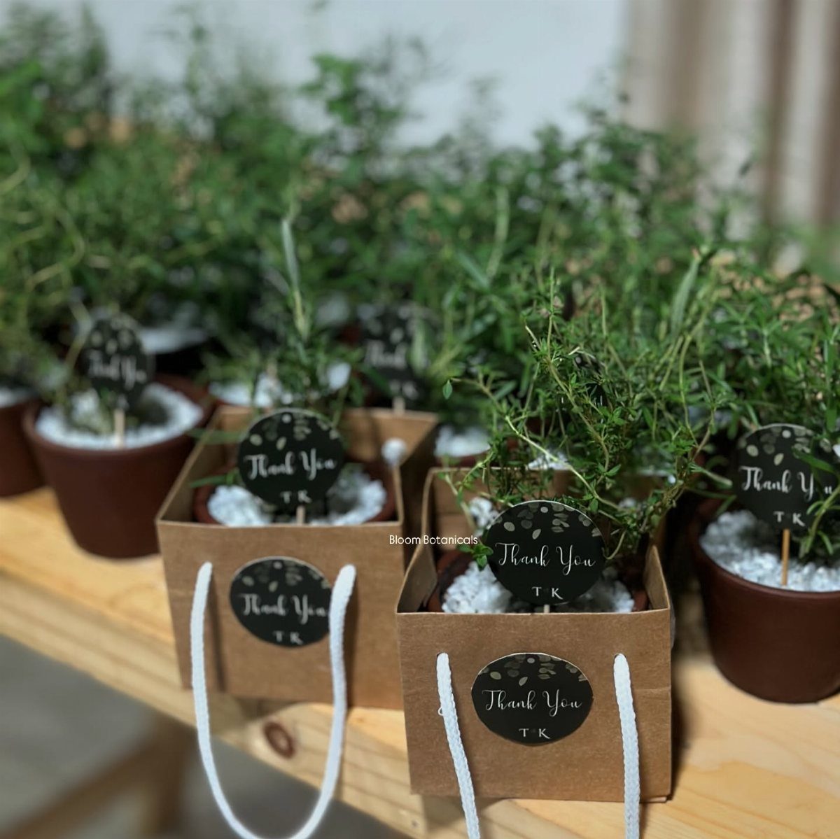 Small herb plants in brown pots and gift bags with Thank You tags.