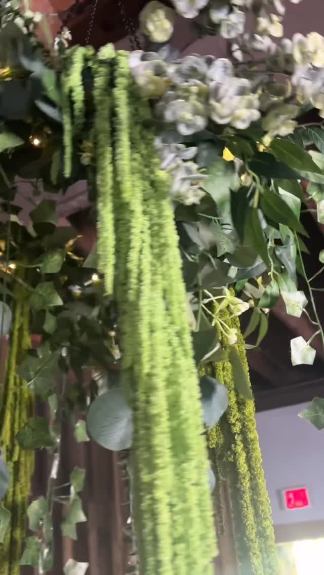 Hanging greenery installations with long sage green moss strands and white floral accents.