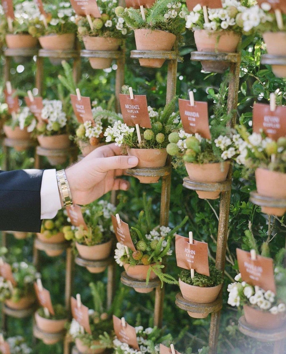 Hand reaching for a potted plant escort card on a rustic metal stand.