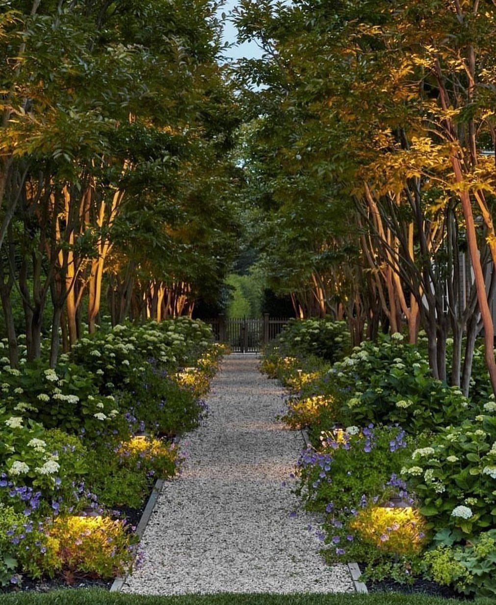 Gravel garden path illuminated by warm yellow uplights among lush green foliage