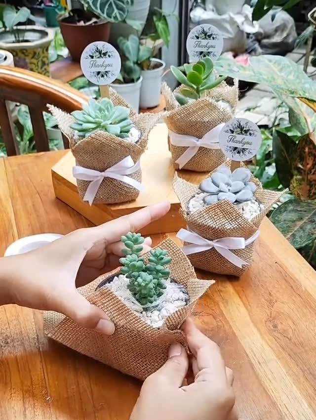 Small succulent plants wrapped in burlap with white ribbons and thank you tags.