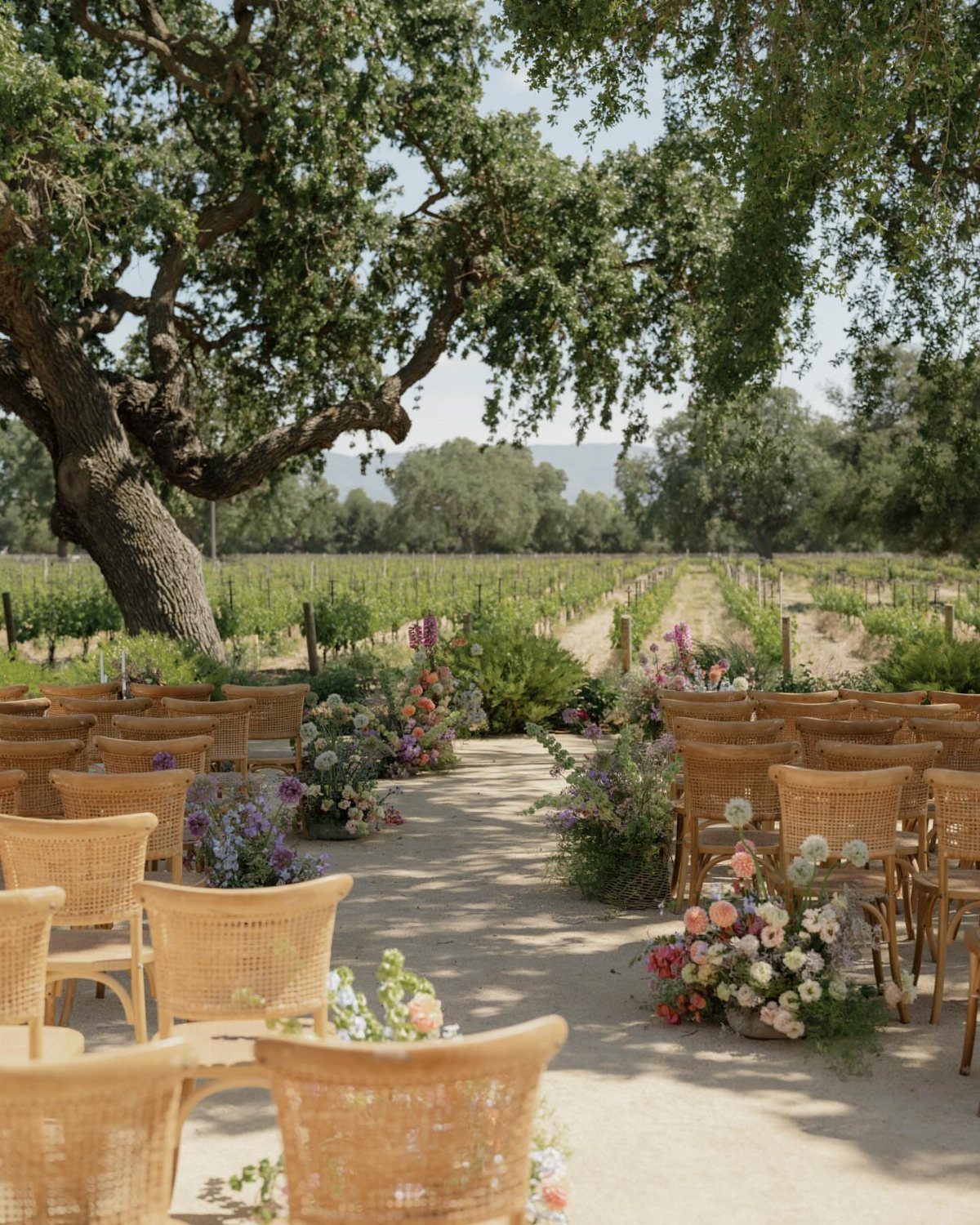 Woven wicker chairs and floral arrangements lining an aisle in a sunny vineyard