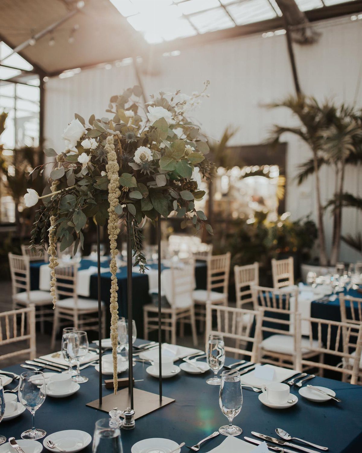 Navy blue tablecloths and white chairs in a bright greenhouse wedding reception setting.