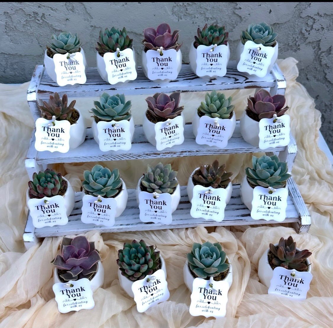 Small potted succulents with thank you tags arranged on a white tiered wooden stand