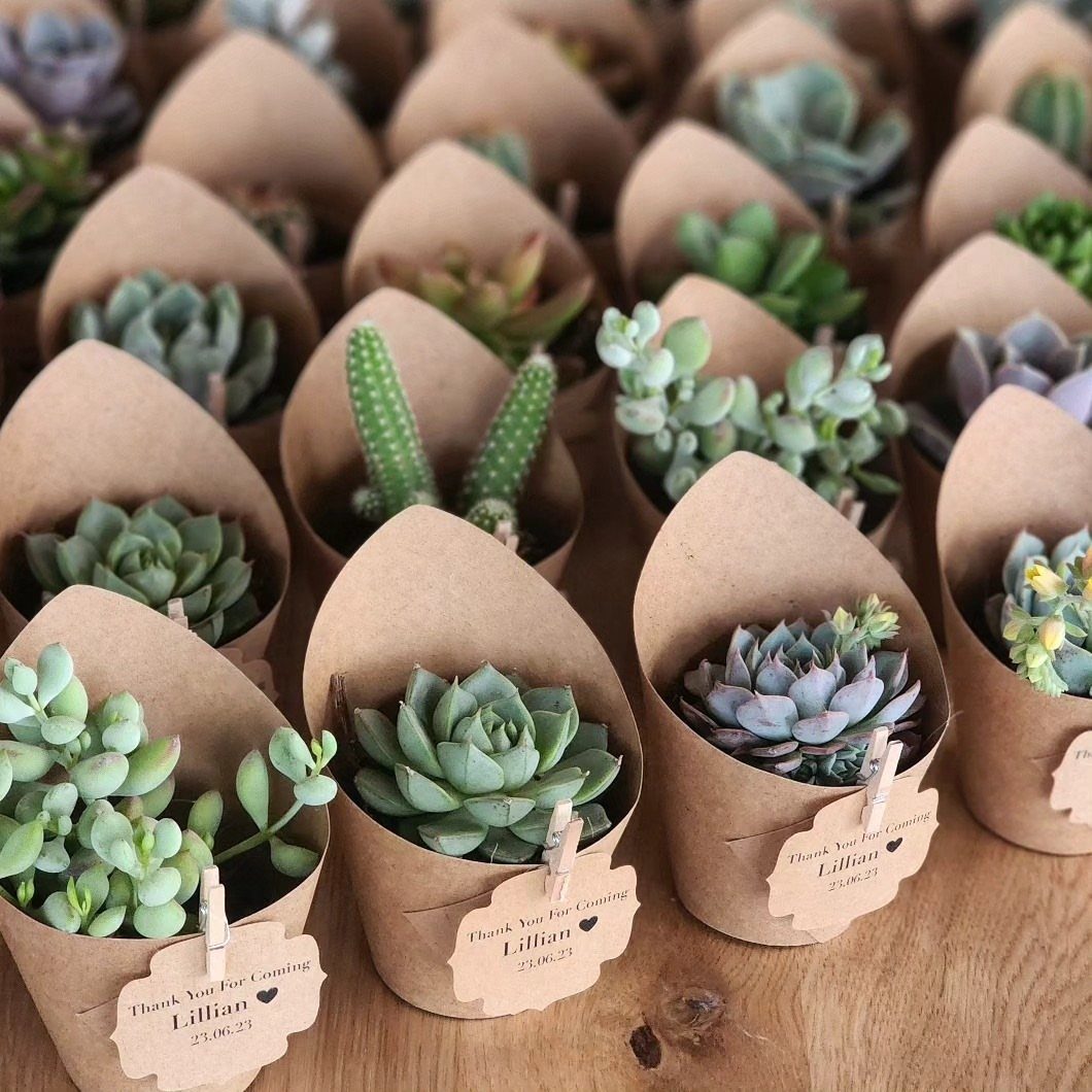 Small succulents in brown paper wraps with heart-shaped thank you tags on wood.