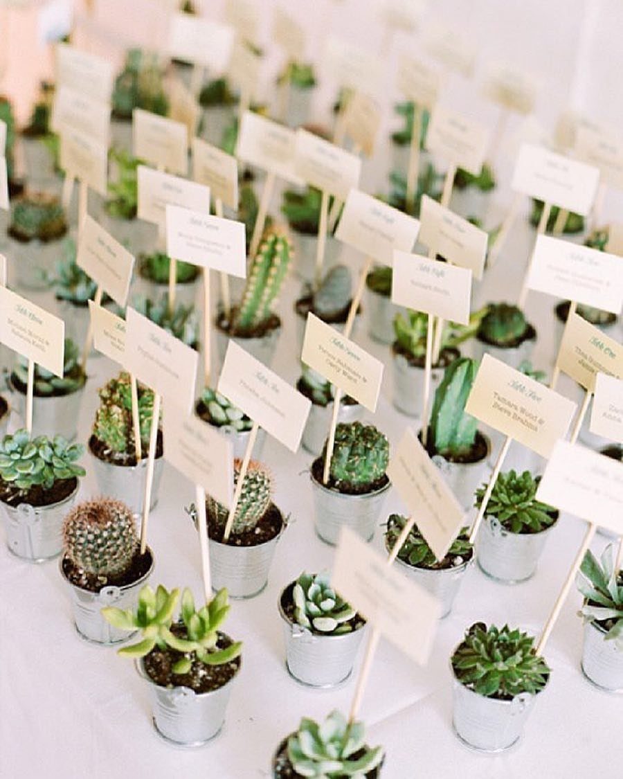 Small succulents in silver pots with white name cards for wedding guest seating.