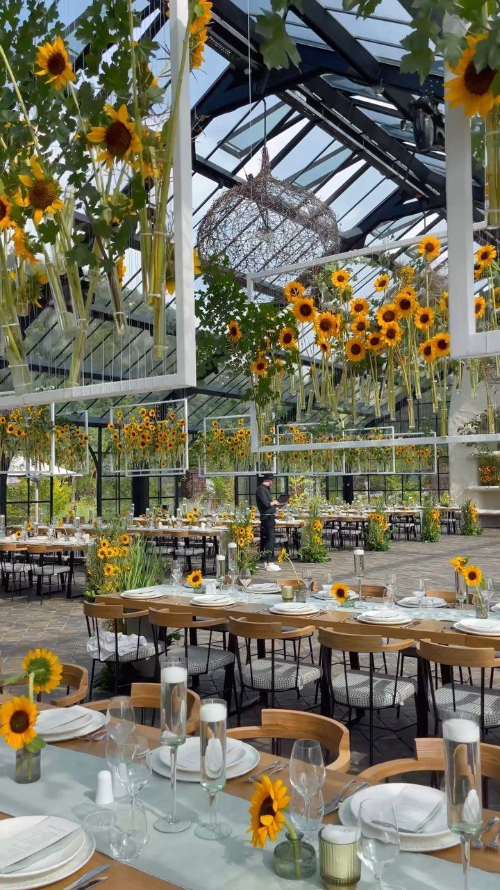 Sunflowers decorating tables and hanging from frames in a bright glass greenhouse venue.